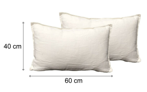 Lot 2 coussins 40x60cm